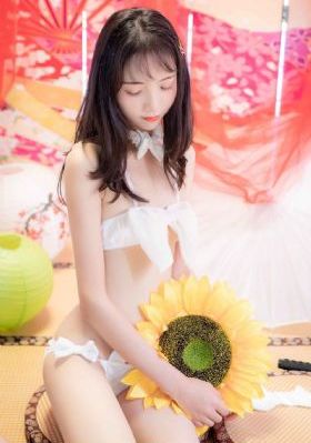 南辕北辙电视剧